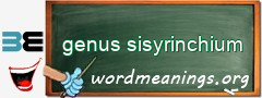 WordMeaning blackboard for genus sisyrinchium